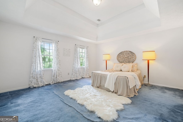 3 Maplelake Dr, Acworth, GA 30101 - bedroom with a raised ceiling and carpet floors