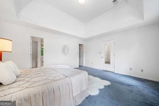 3 Maplelake Dr, Acworth, GA 30101 - bedroom featuring a raised ceiling and carpet flooring