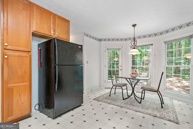 3 Maplelake Dr, Acworth, GA 30101 - kitchen featuring freestanding refrigerator, healthy amount of natural light, decorative light fixtures, and light floors