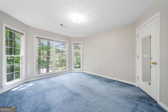 3 Maplelake Dr, Acworth, GA 30101 - empty room featuring carpet floors and a textured ceiling