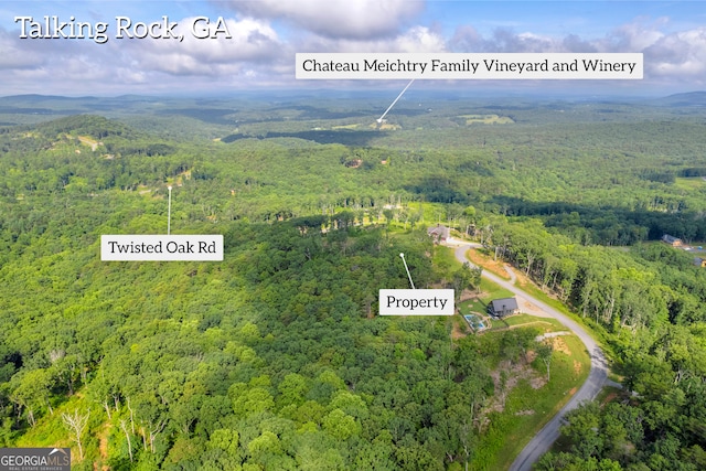 LOT4 High Summit Dr, Talking Rock, GA 30175