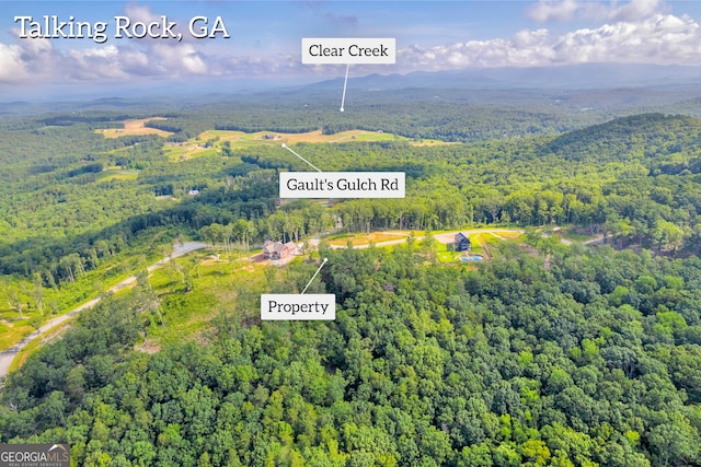 LOT4 High Summit Dr, Talking Rock, GA 30175