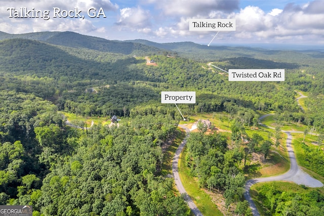 LOT4 High Summit Dr, Talking Rock, GA 30175