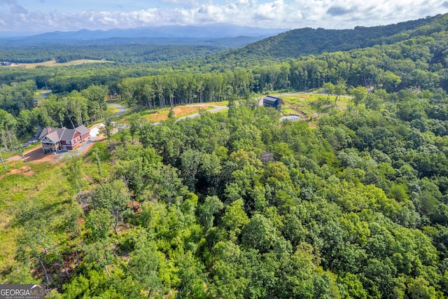 LOT4 High Summit Dr, Talking Rock, GA 30175