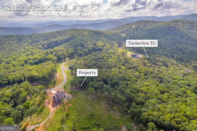 LOT4 High Summit Dr, Talking Rock, GA 30175