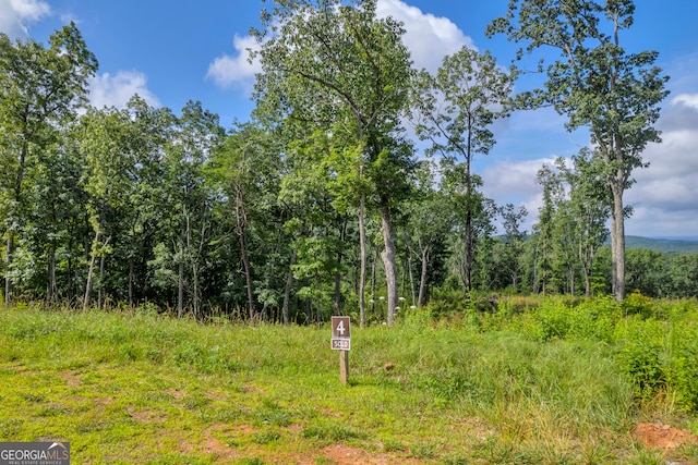 LOT4 High Summit Dr, Talking Rock, GA 30175