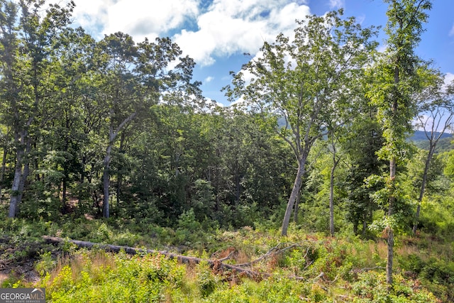 LOT4 High Summit Dr, Talking Rock, GA 30175