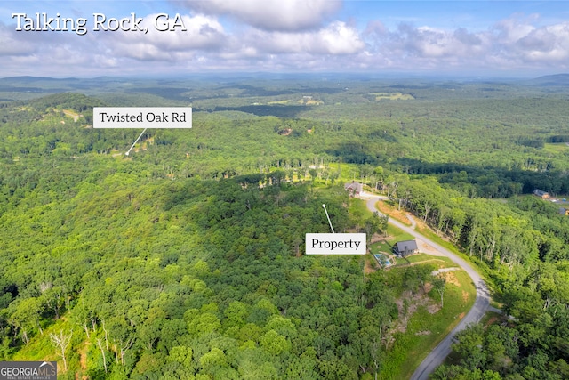 LOT4 High Summit Dr, Talking Rock, GA 30175