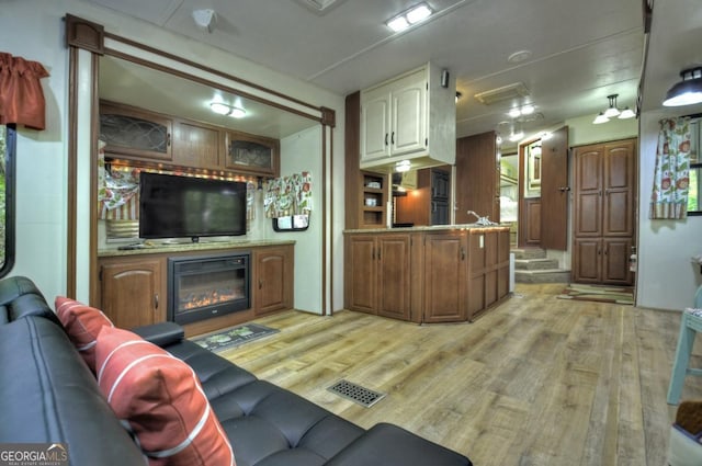 236 31st St Unit C638, Ellijay, GA 30540 - living room with light wood finished floors and a glass covered fireplace
