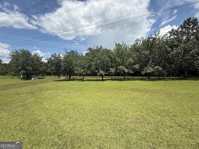 314 Elbert Jackson Rd, Forsyth, GA 31029 - view of green lawn
