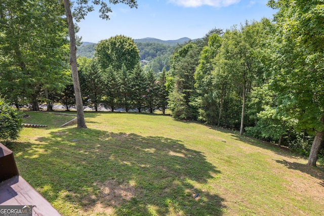 115 Wildcat Run, Suches, GA 30572 - view of green lawn featuring a mountain view