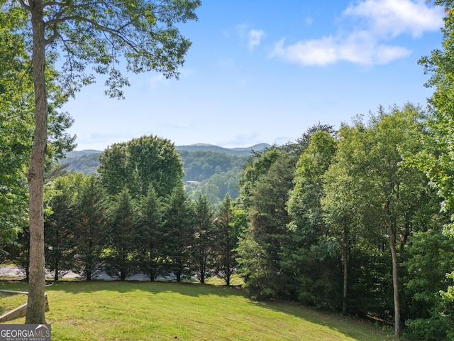 115 Wildcat Run, Suches, GA 30572 - mountain view with a heavily wooded area