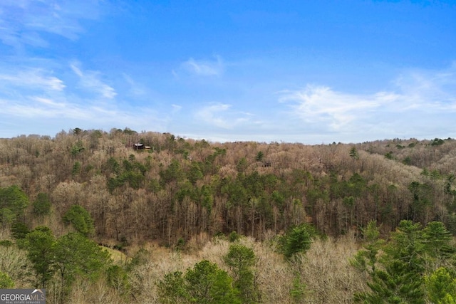230 Grove Ln Unit 3642, Ellijay, GA 30540 - view of tree filled area