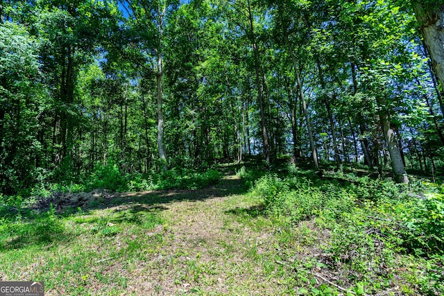 106 Ivy Ct, Lagrange, GA 30241 - view of local wilderness