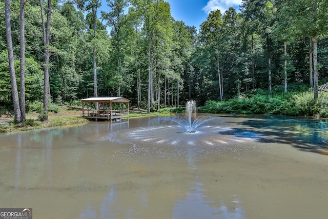 682 Tanglewood Ln, Ellijay, GA 30540 - water view with a heavily wooded area