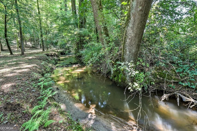 682 Tanglewood Ln, Ellijay, GA 30540 - view of nature