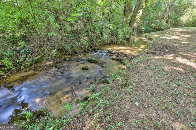 682 Tanglewood Ln, Ellijay, GA 30540 - view of wooded area