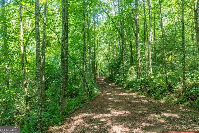 682 Tanglewood Ln, Ellijay, GA 30540 - view of woods