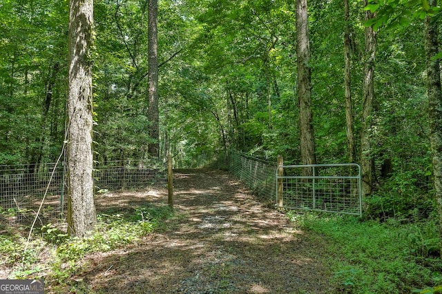 682 Tanglewood Ln, Ellijay, GA 30540 - view of wooded area
