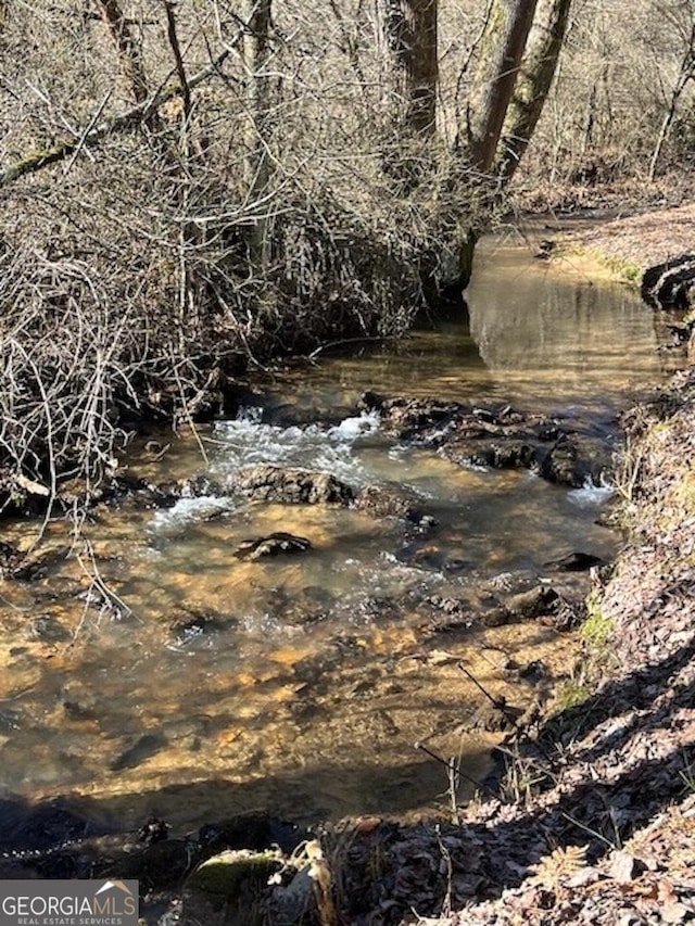 682 Tanglewood Ln, Ellijay, GA 30540 - view of undeveloped land