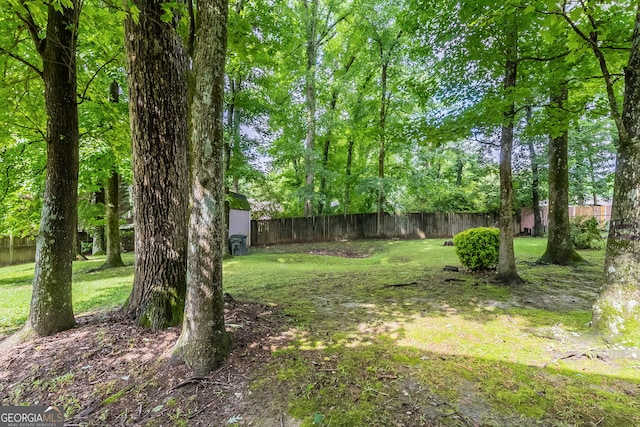 3110 Ashly Cove Ln, Snellville, GA 30078 - view of yard