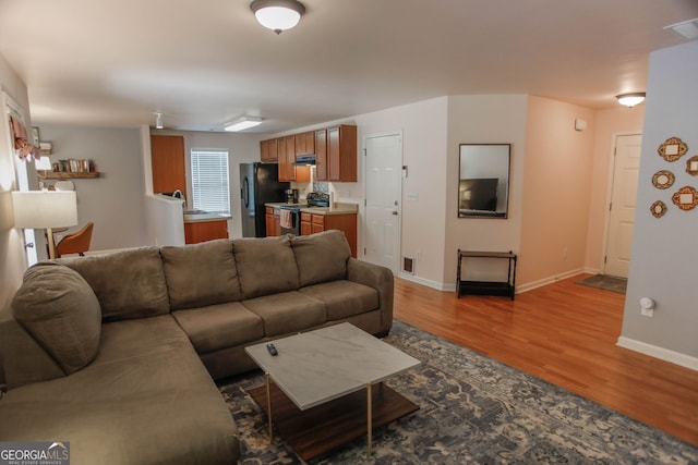 691 Walnut Woods Dr, Braselton, GA 30517 - living area with light wood-type flooring and baseboards