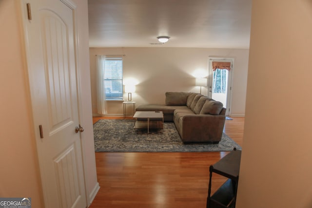691 Walnut Woods Dr, Braselton, GA 30517 - living room with wood finished floors and healthy amount of natural light