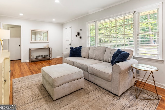 2163 Medfield Trl NE, Chamblee, GA 30345 - living area with ornamental molding, wood finished floors, and recessed lighting