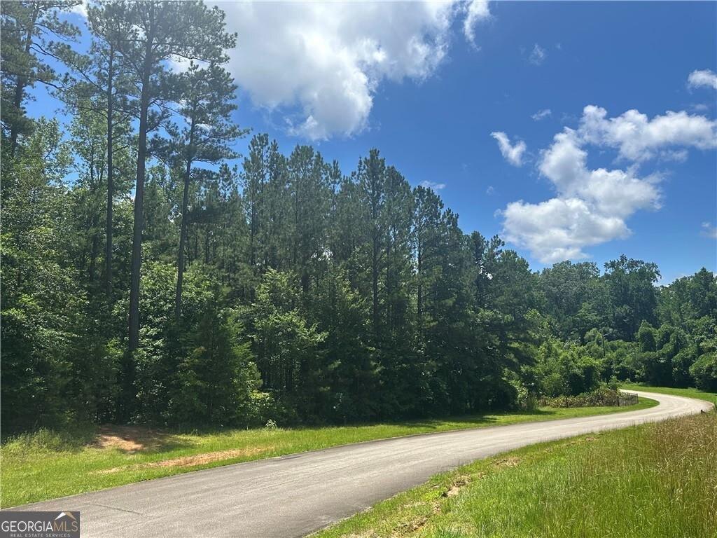 0 Elsberry Mountain Rd, Dallas, GA 30132