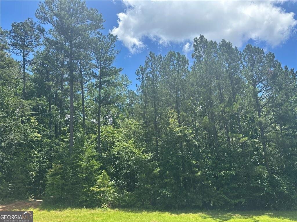 0 Elsberry Mountain Rd, Dallas, GA 30132