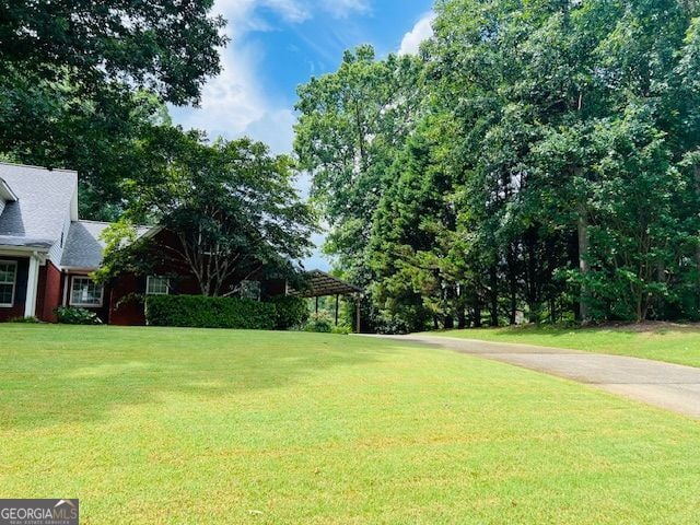 149 Crown Oaks Dr, Stockbridge, GA 30281 - view of green lawn