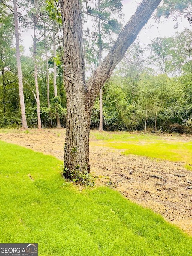 935 Mccall Rd, Macon, GA 31217 - view of yard