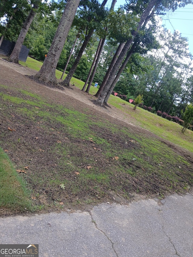 6985 Butner Rd, South Fulton, GA 30349 - view of yard