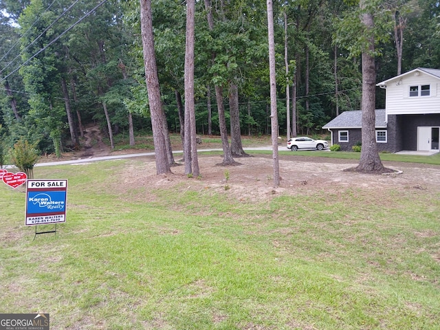 6985 Butner Rd, South Fulton, GA 30349 - view of grassy yard