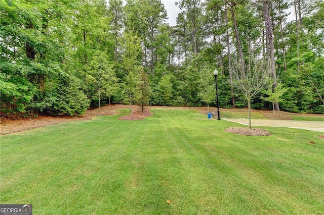 711 Topsail Ln, Alpharetta, GA 30005 - view of green lawn