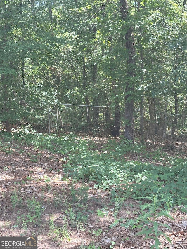 214 Sugar Hill Ct, Jackson, GA 30233 - view of woods