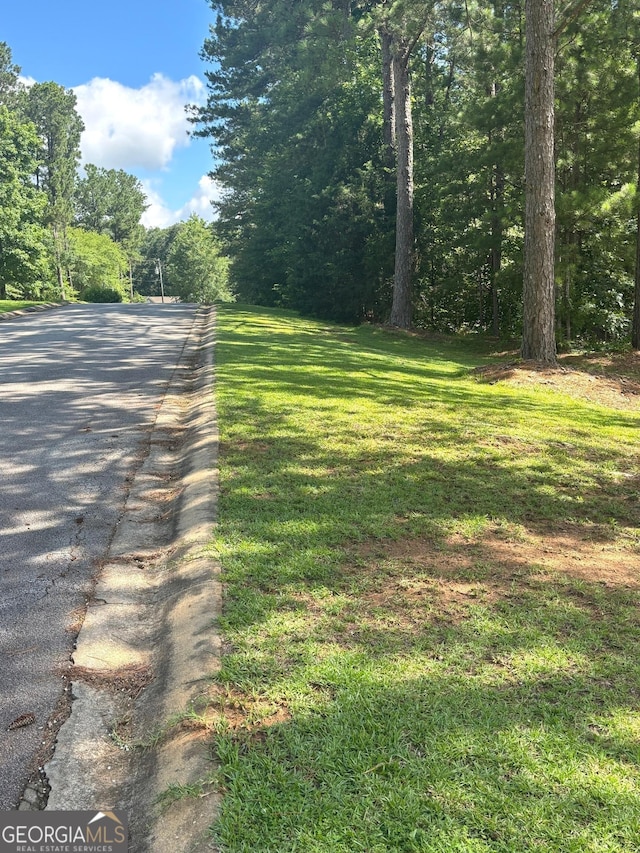 214 Sugar Hill Ct, Jackson, GA 30233 - view of asphalt road