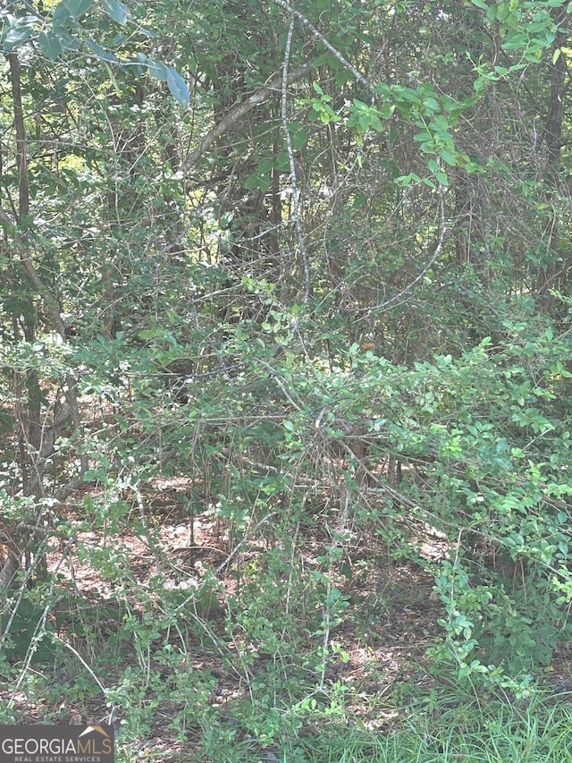 214 Sugar Hill Ct, Jackson, GA 30233 - view of undeveloped land