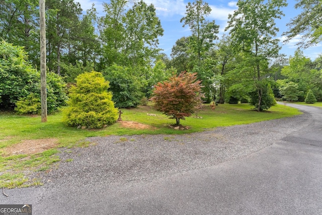 1572 Azalea Dr, Lawrenceville, GA 30043 - view of street