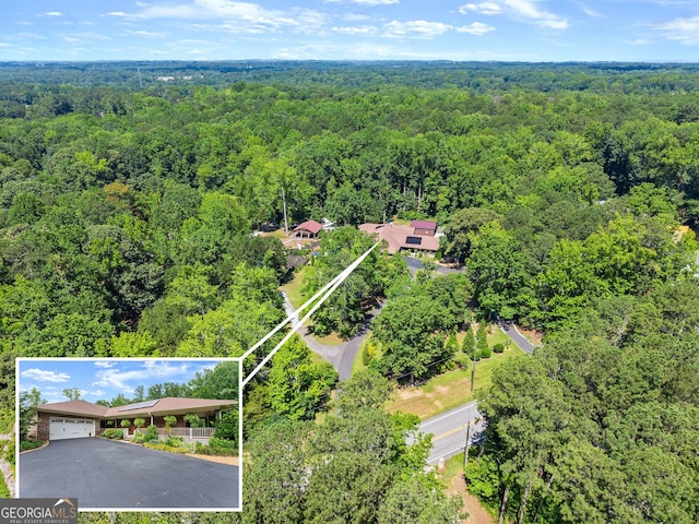 1572 Azalea Dr, Lawrenceville, GA 30043 - bird's eye view of a forest