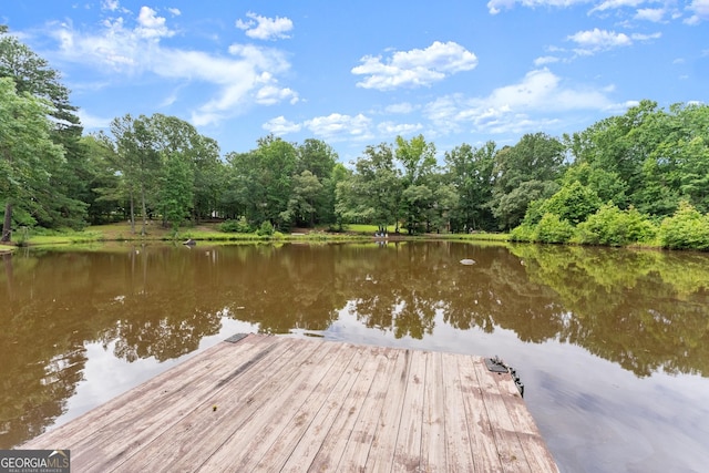 1572 Azalea Dr, Lawrenceville, GA 30043 - dock area with a water view and a view of trees