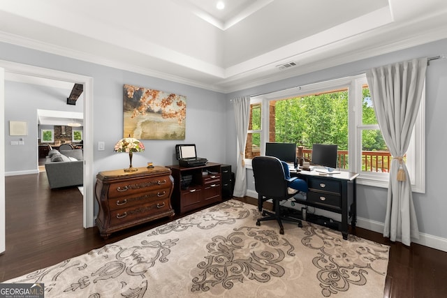 1572 Azalea Dr, Lawrenceville, GA 30043 - office space with wood finished floors, ornamental molding, and a tray ceiling
