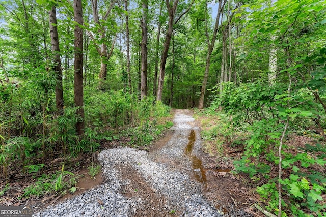 1572 Azalea Dr, Lawrenceville, GA 30043 - view of street
