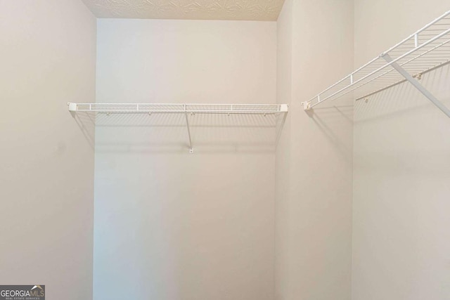 513 Shadow Valley Ct, Lithonia, GA 30058 - view of spacious closet