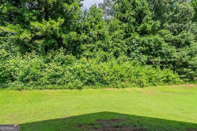 513 Shadow Valley Ct, Lithonia, GA 30058 - view of green lawn
