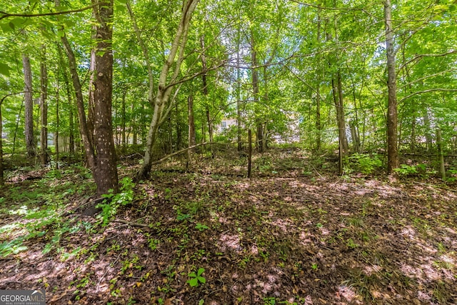 3930 Pine Tree Ln, Gainesville, GA 30501 - view of tree filled area