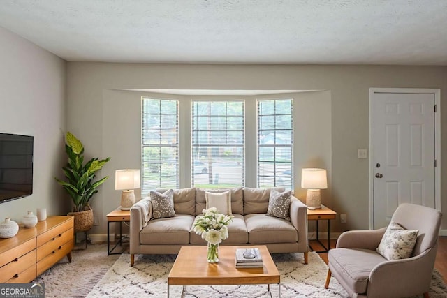 5207 Shawn Ln, Stone Mountain, GA 30088 - living area featuring baseboards
