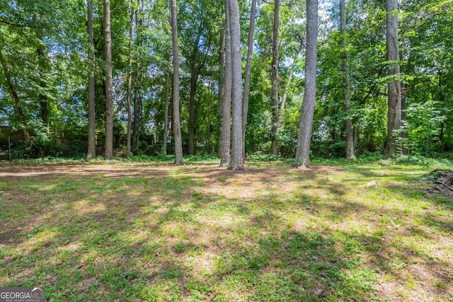 5207 Shawn Ln, Stone Mountain, GA 30088 - view of yard