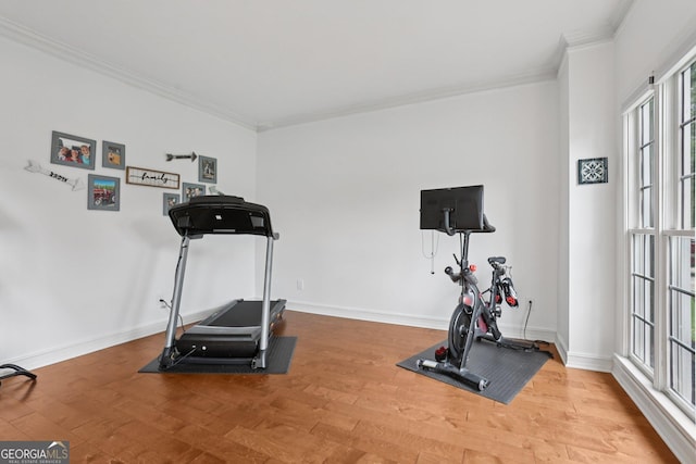 2009 Mclain Rd NW, Acworth, GA 30101 - workout area with ornamental molding and wood finished floors