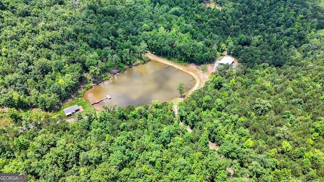 735 Firetower Rd, Thomaston, GA 30286 - drone / aerial view of a heavily wooded area and a large body of water